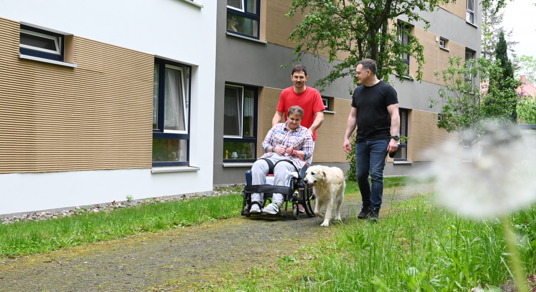 Drei Personen und ein Hund gehen spazieren, eine Klientin sitzt im Rollstuhl.